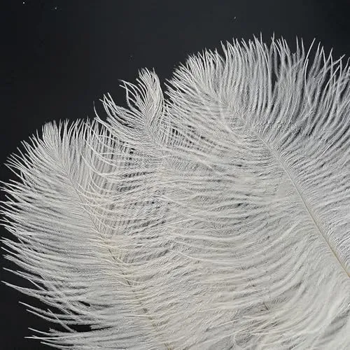 10pcs Artificial Ostrich Feathers - Wedding Decoration & Halloween Party