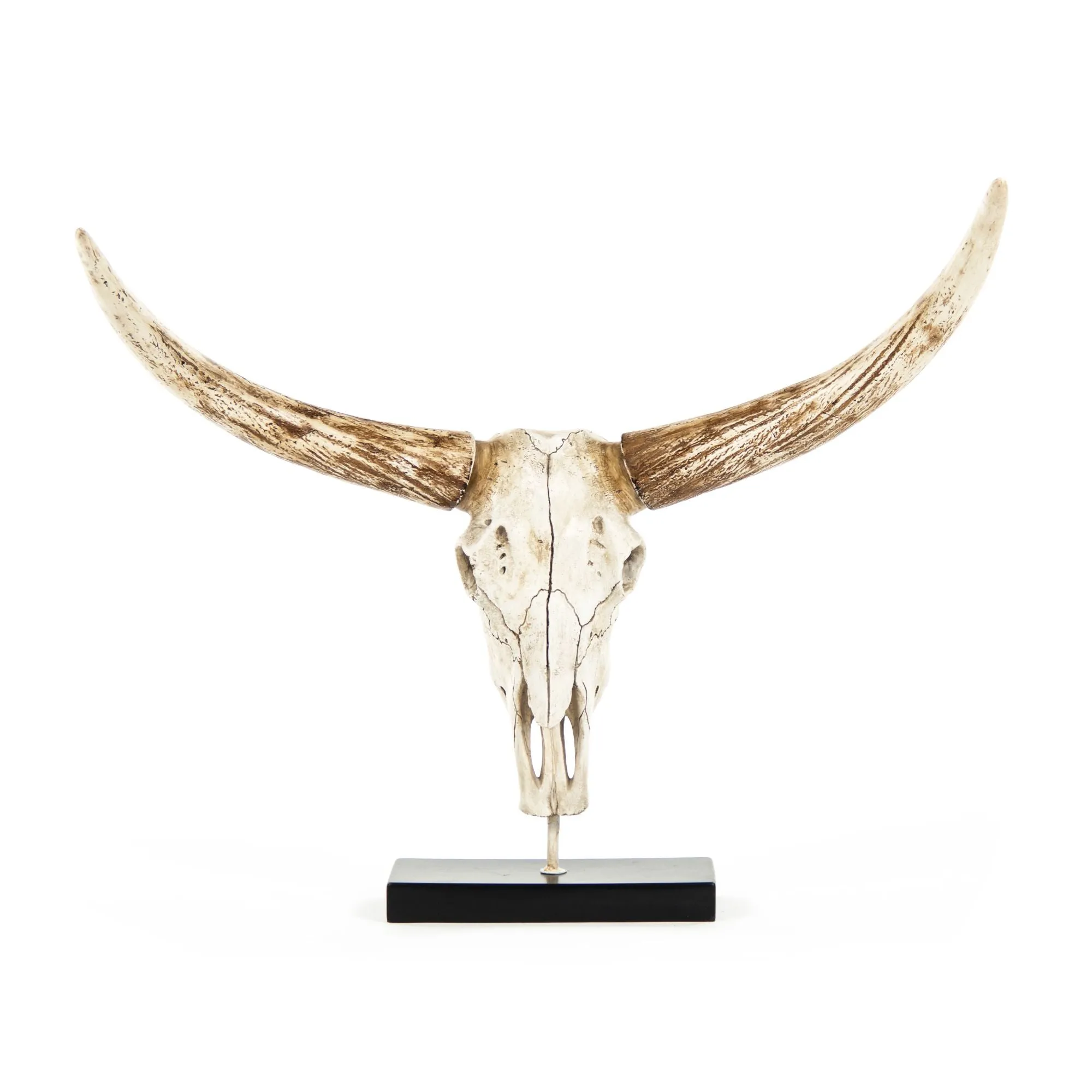 Bull Skull w/ Base by Zentique