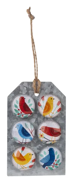 Colorful Birds Magnets