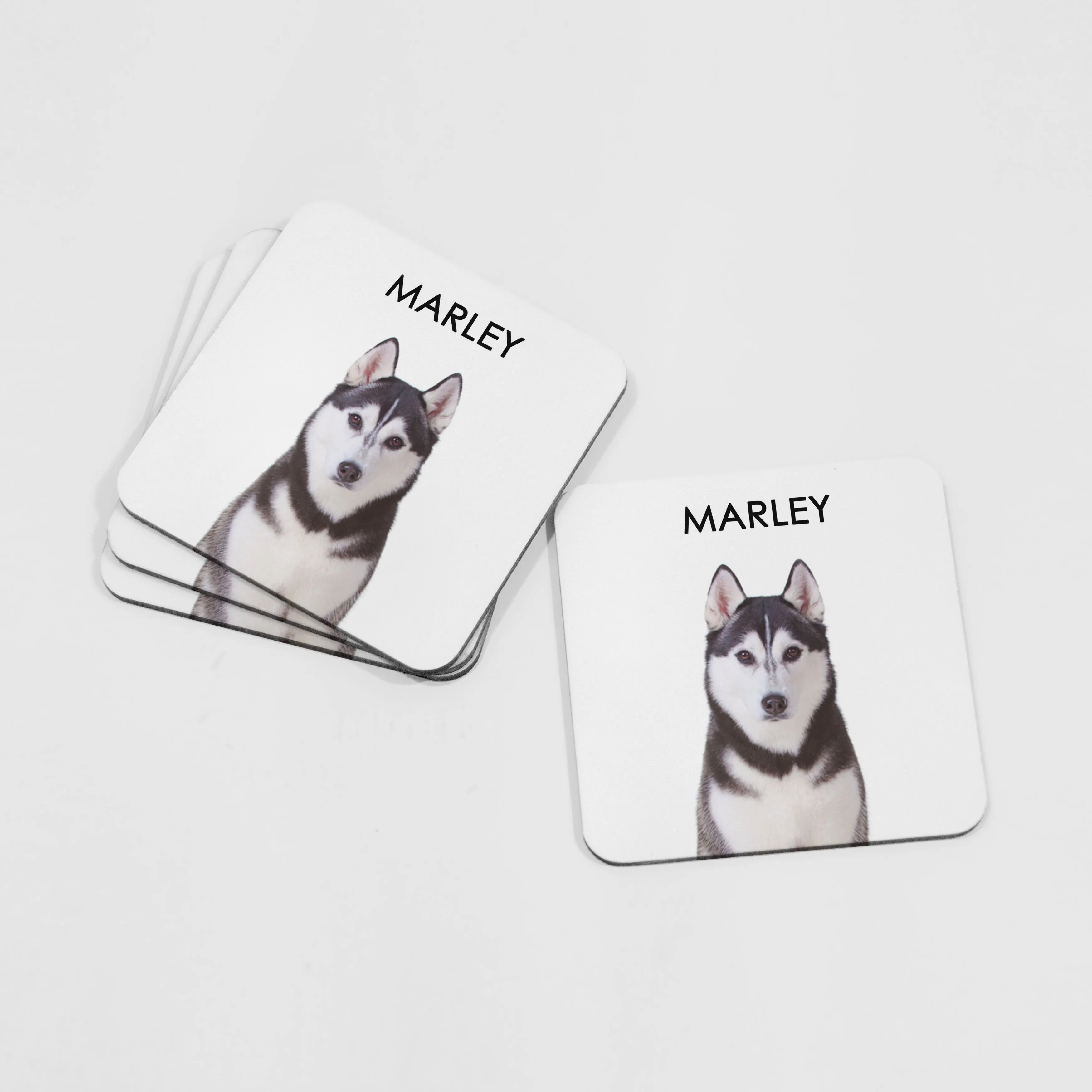 Custom Dog Portrait Coaster