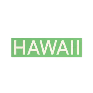 Hawaii Wood Shape Magnet, Light Green