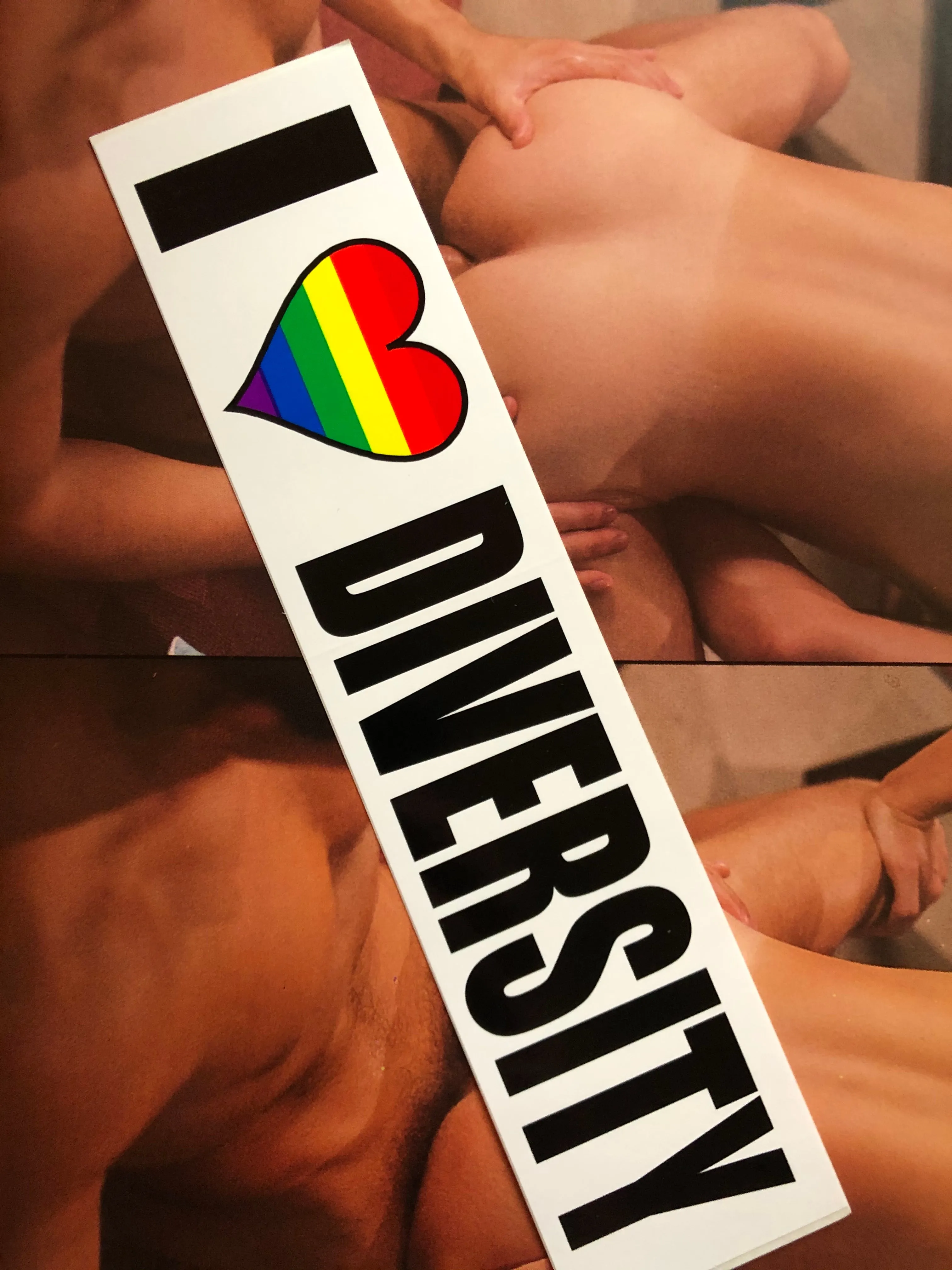 I LOVE DIVERSITY VINTAGE BUMBER STICKER