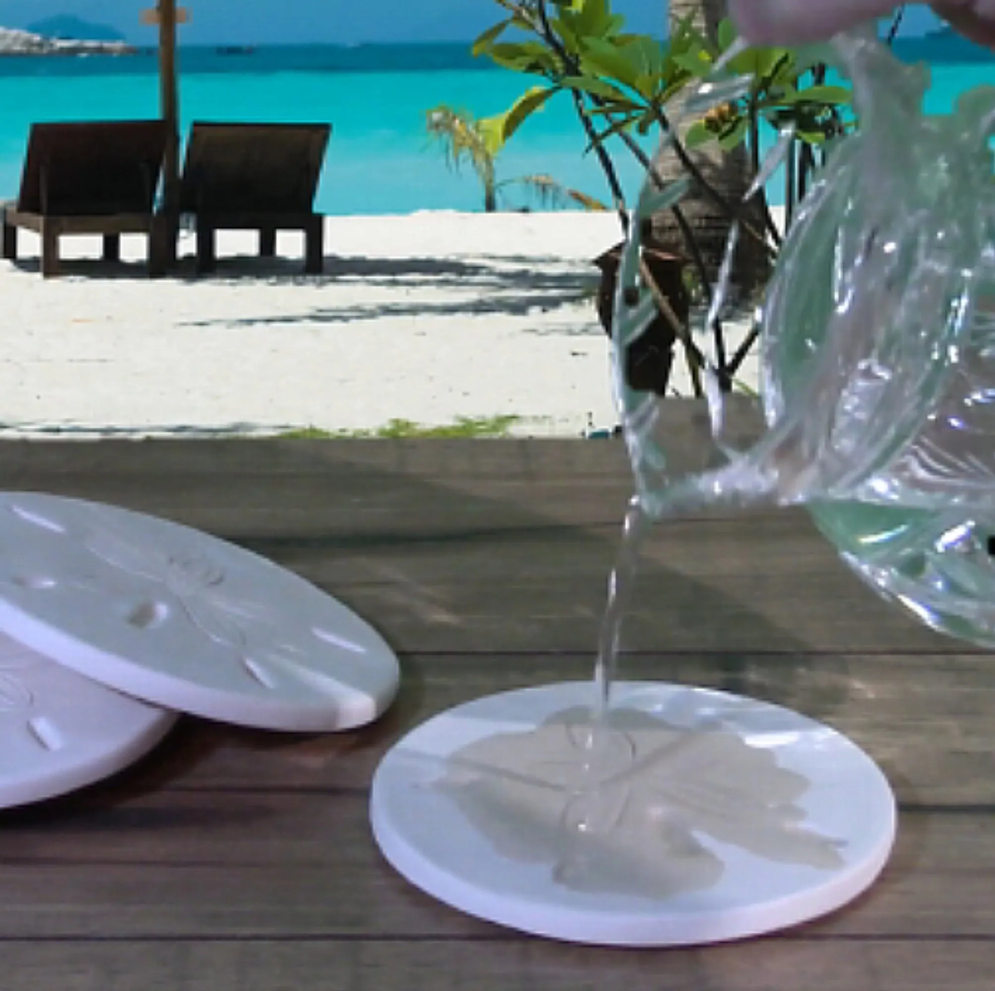 Junonia Shell Drink Coasters