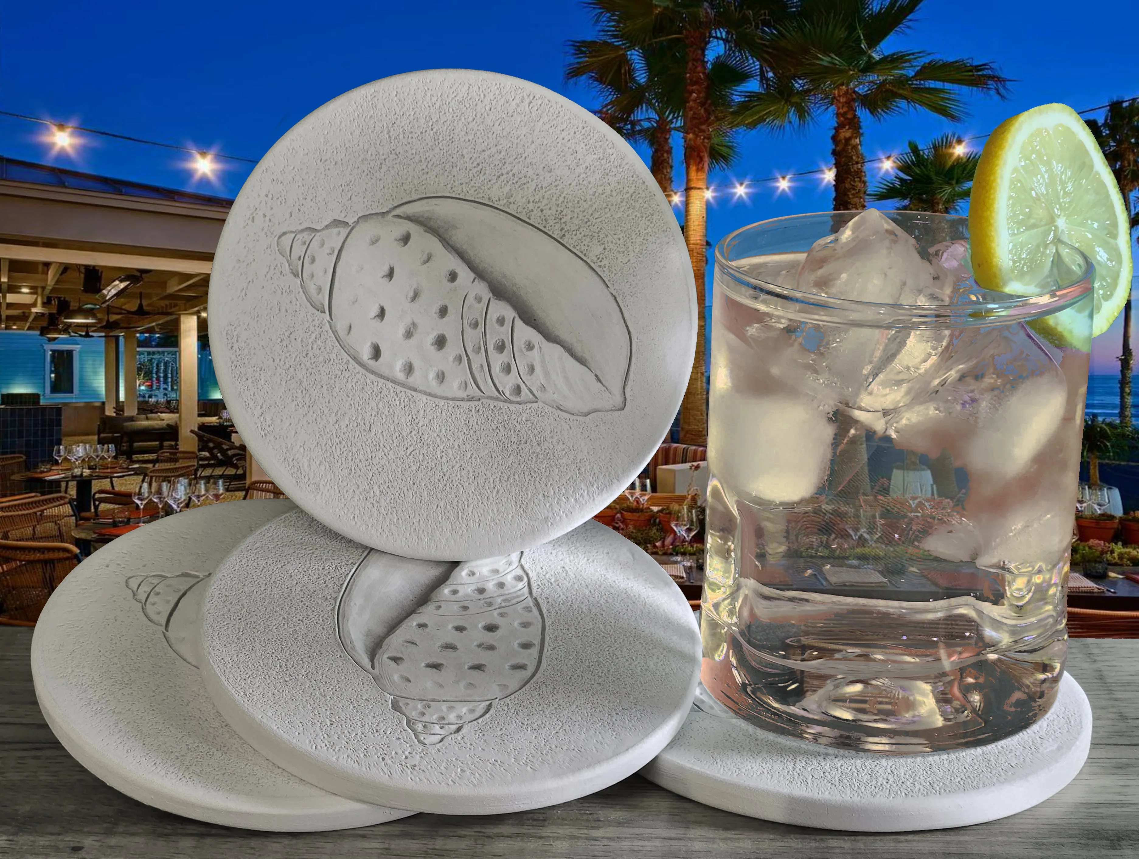 Junonia Shell Drink Coasters