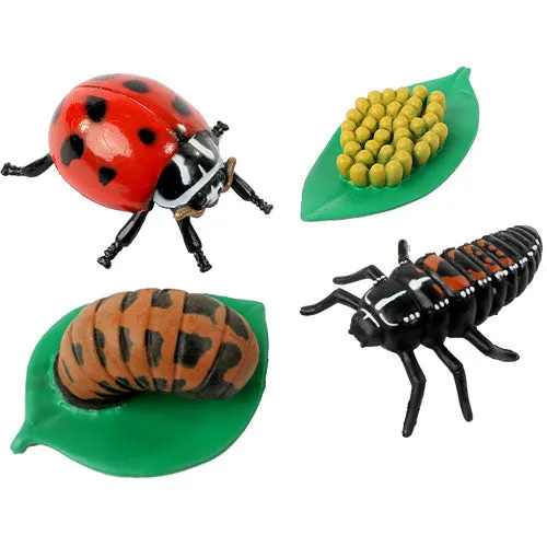 Ladybug Life Cycle Figurines