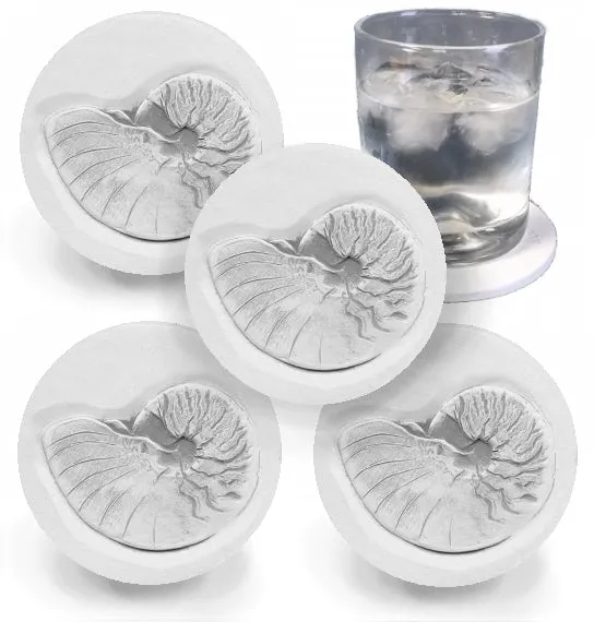 Nautilus Shell Drink Coasters