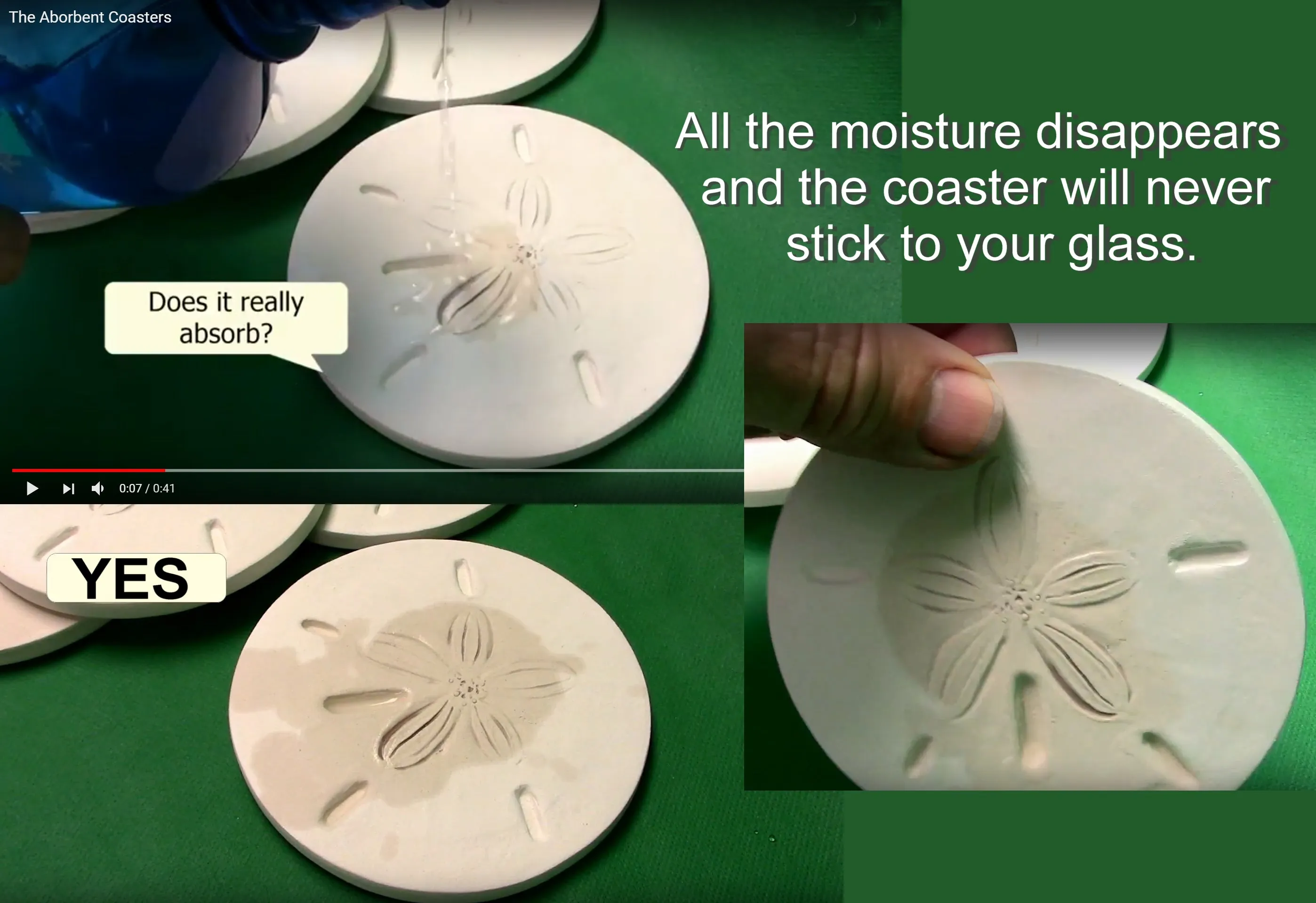 Nautilus Shell Drink Coasters