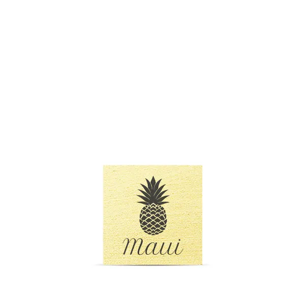 Pineapple (Maui) 3x3 CRM Magnet