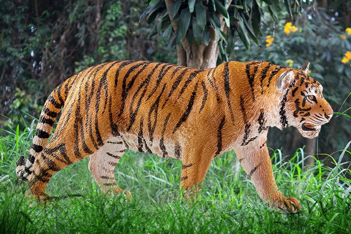 Tiger