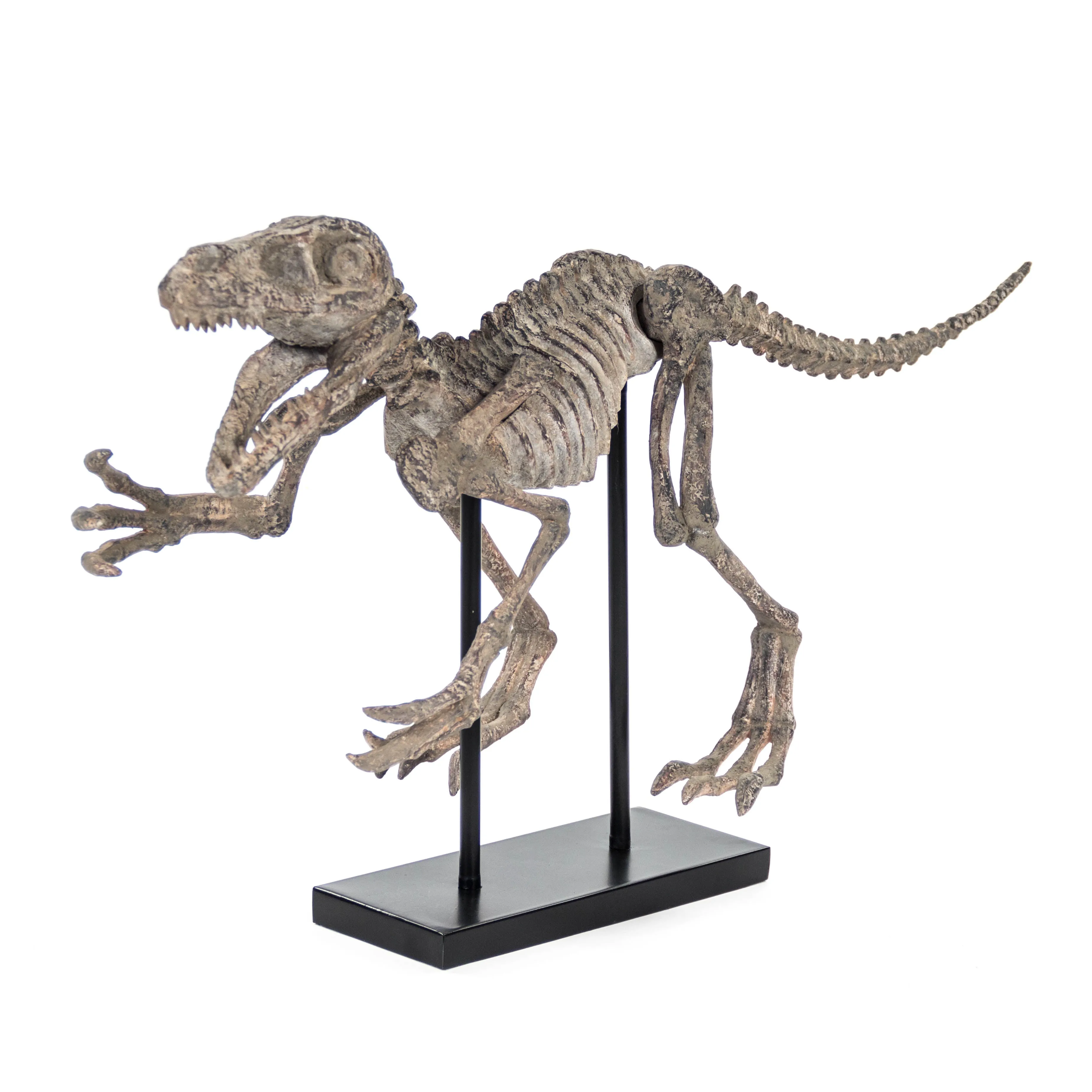 Velociraptor Skeleton w/ Base by Zentique